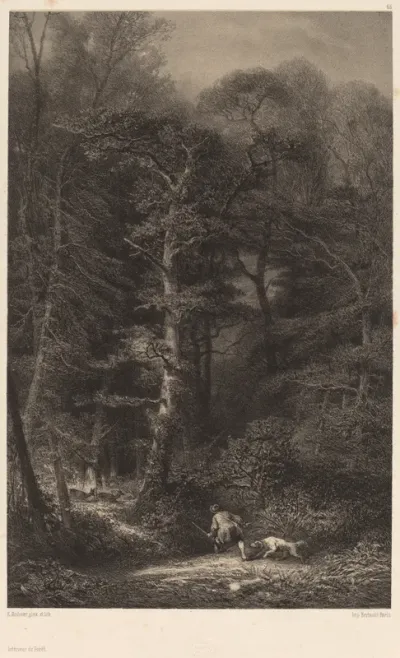 Intérieur de Forêt