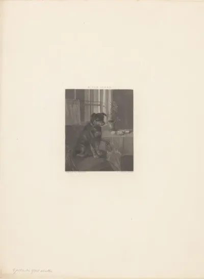 Interieur met hond op een stoel