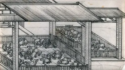 Interior of a Chinese pig-sty