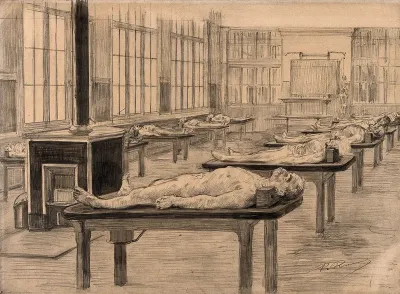 Interior of a dissecting room with cadavers laid out on tables