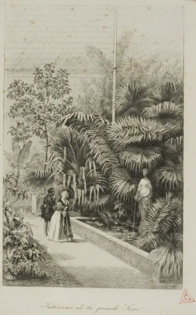 Interior of the Large Greenhouse