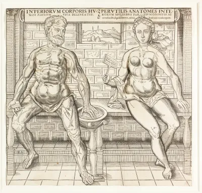 Interiorum corporis humani partium viva delineatio, from the second edition of the Compendiosa totius anatomie delineation