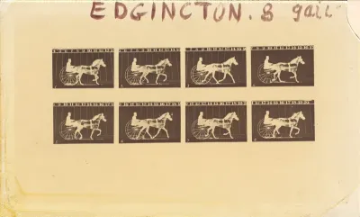 Internegative for Horses. Trotting. Abe Edgington. No. 28