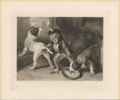 Intruding Puppies