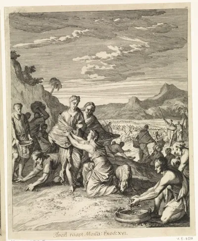 Inzameling van het manna door de Israëlieten