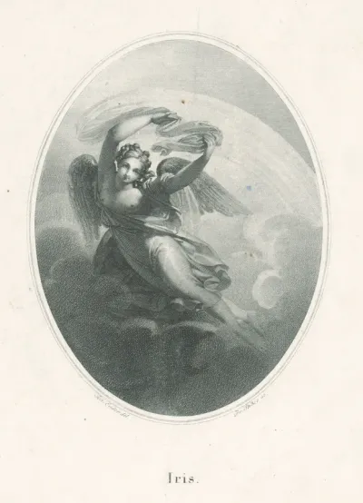 Iris