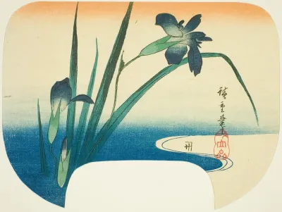 Iris and stream