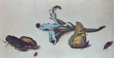 Iris with four beetles and a butterfly
