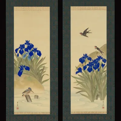 Irises