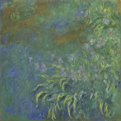 Irises