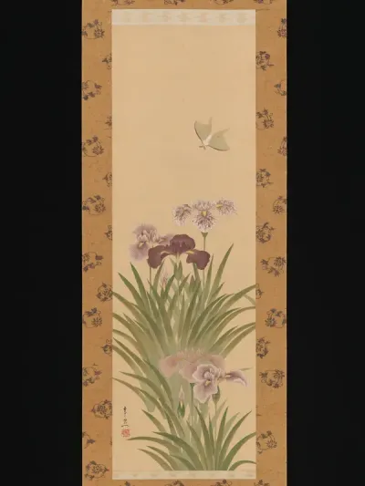 Irises and Moth