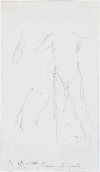 irtolehti