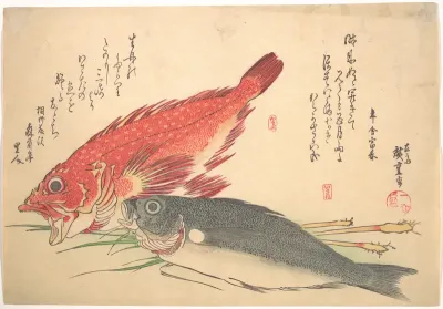 Isaki and Kasago Fish, from the series Uozukushi (Every Variety of Fish)