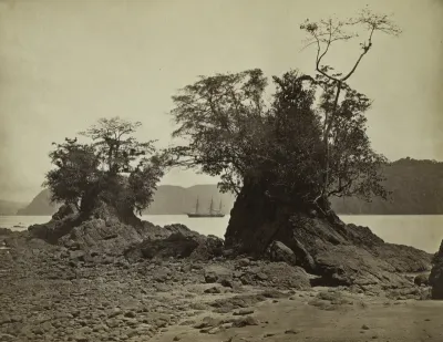 Islands in Limón Bay
