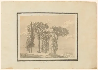 Italian Pine and Cypress