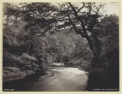 Ivy Bridge, View on the Prysor River