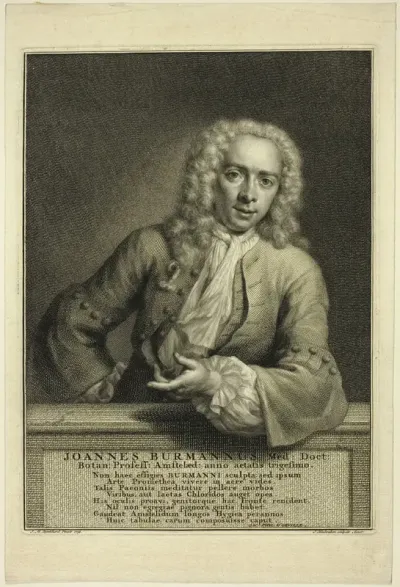 J. Burmannus