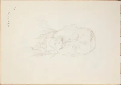 J. K. Paasikivi. Todennäköisesti n. 1925-28