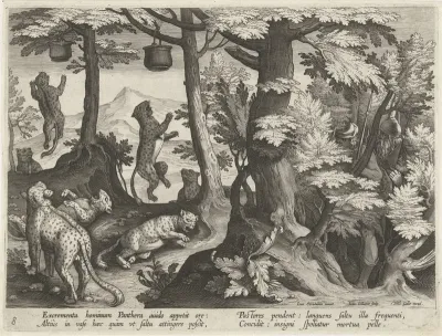 Jacht op luipaarden met menselijke uitwerpselen