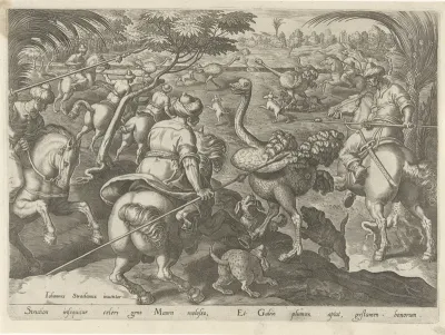 Jacht op struisvogels