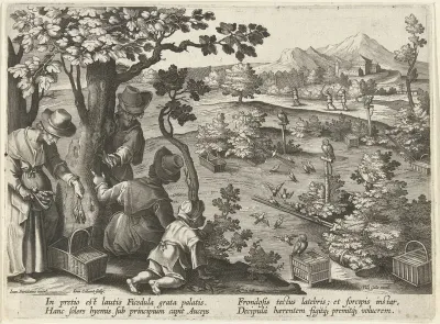 Jacht op vogels met lokuilen en vogellijm