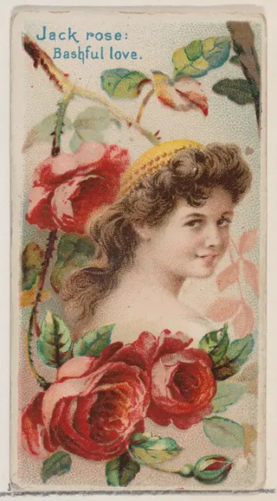 Jack Rose: Bashful Love, from the series Floral Beauties and Language of Flowers (N75) for Duke brand cigarettes