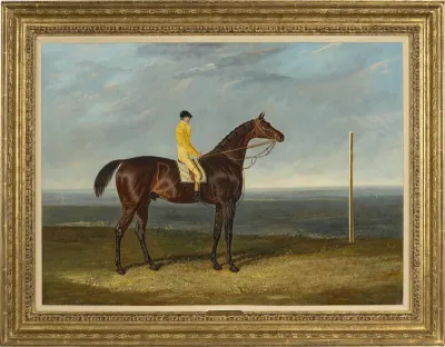 Jack Spigot, a dark bay racehorse with jockey up