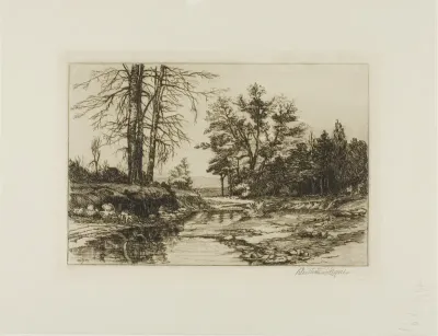 Jackson Hollow