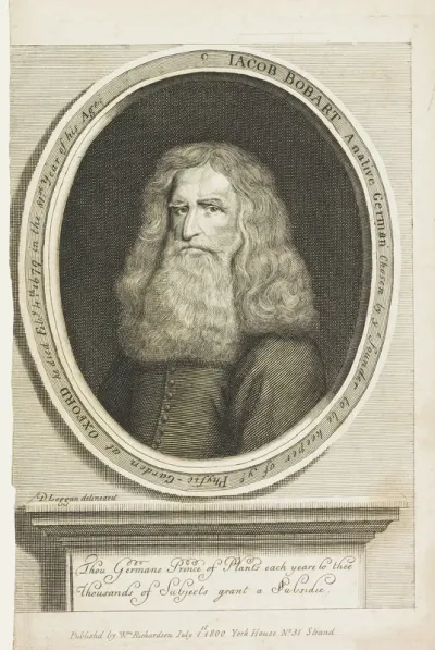 Jacob Bobart