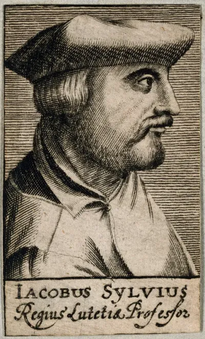 Jacobus Sylvius