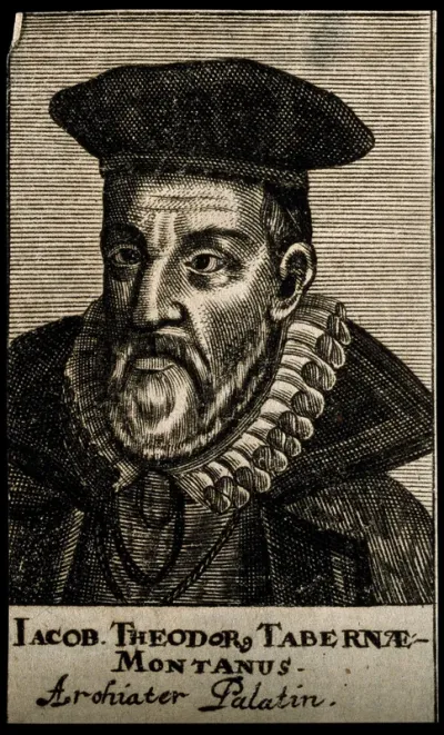 Jacobus Theodorus Tabernaemontanus