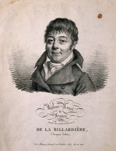 Jacques Julien de La Billiardière