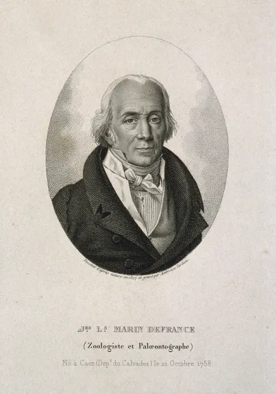 Jacques-Louis Marin de France