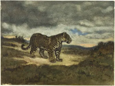 Jaguar Standing