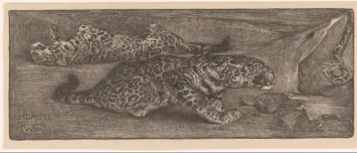 Jaguars