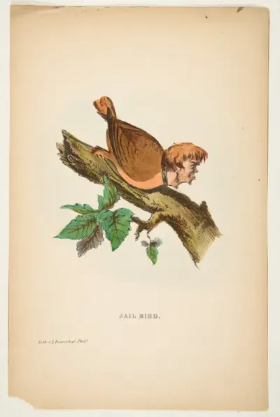 Jail Bird, from "The Comic Natural History of the Human Race"