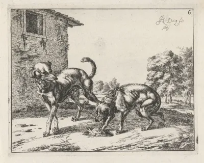 Jaloerse hond