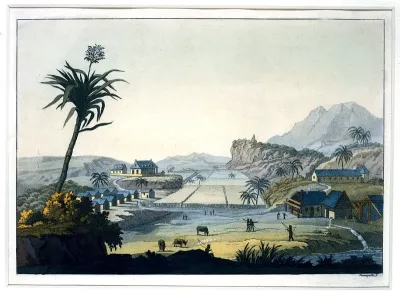 Jamaica: a sugar plantation