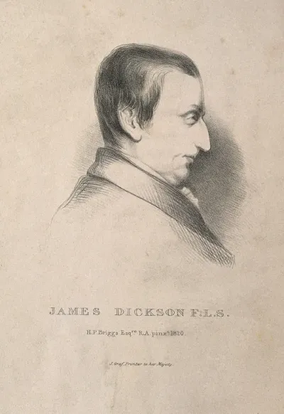 James Dickson. Lithograph after H. P. Briggs, 1820