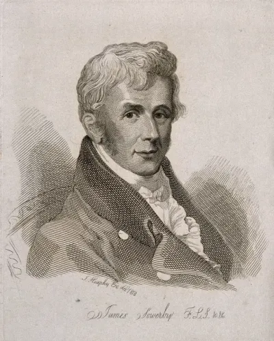 James Sowerby. Line engraving by Mrs D. Turner after T. Heaphy, 1818