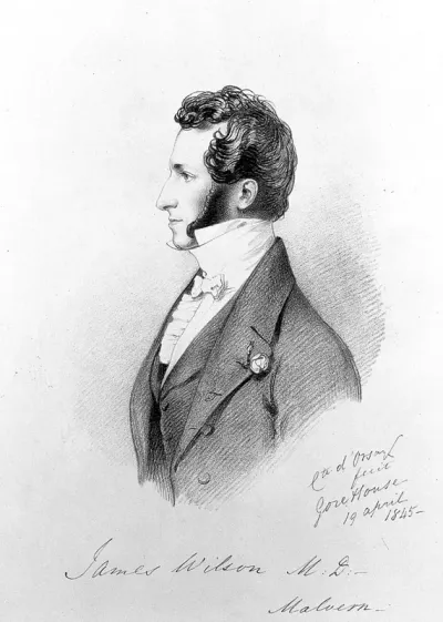 James Wilson. Lithograph by R. J. Lane after Comte A. d'Orsay, 1845