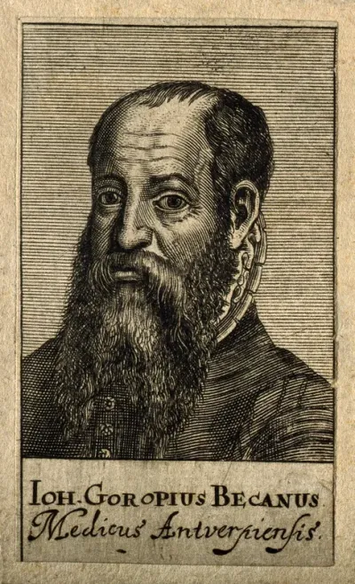 Jan van Gorp. Line engraving, 1688