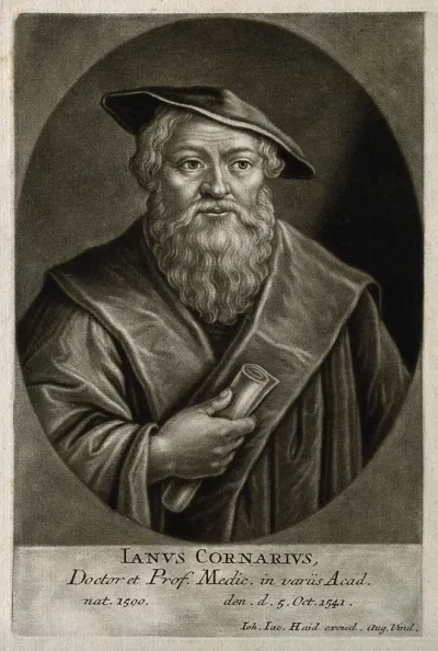 Janus Cornarius