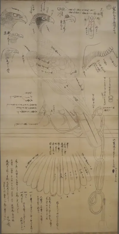 Japanese