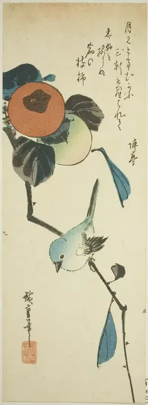 Japanese white-eye and persimmons