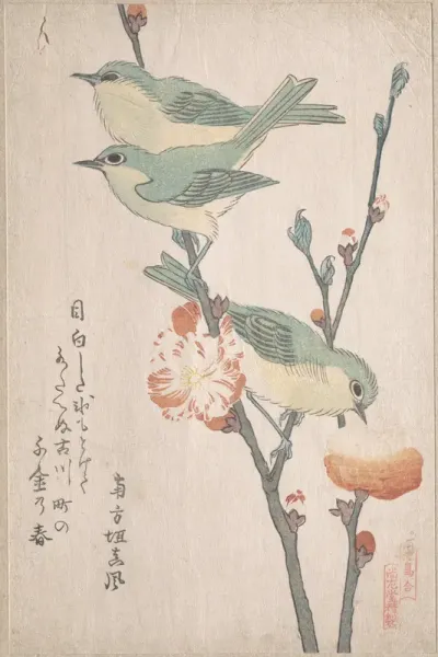 Japanese White-eyes on a Branch of Peach Tree,” from the Series An Array of Birds (Tori awase), from Spring Rain Surimono Album (Harusame surimono-jō, vol. 3)
