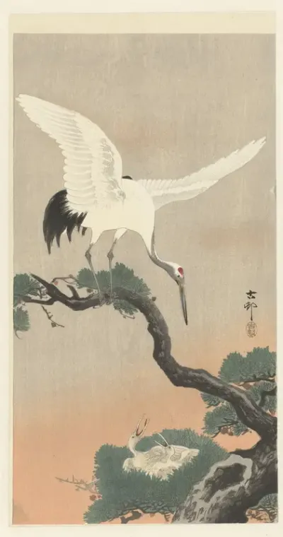 Japanse kraanvogel op tak van pijnboom