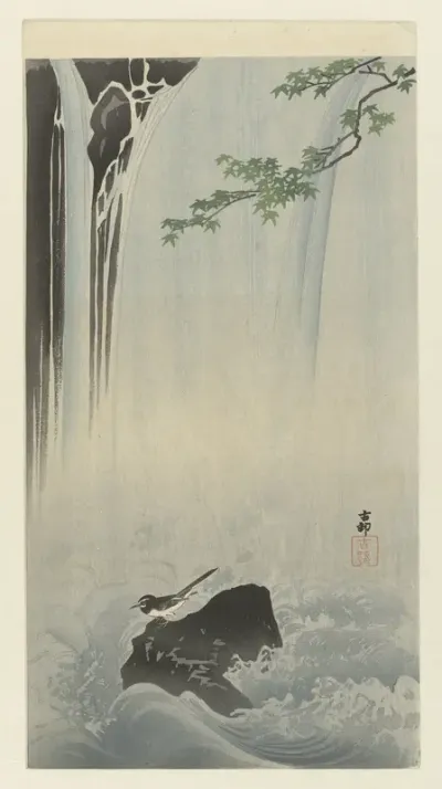 Japanse kwikstaart bij waterval