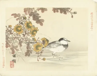 Japanse kwikstaart