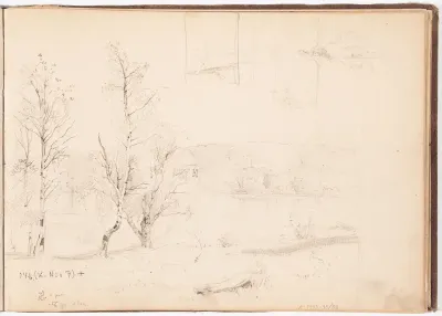 Järvimaisemia. Koivuja. Todennäk. 1880-luvun jälkipuol.